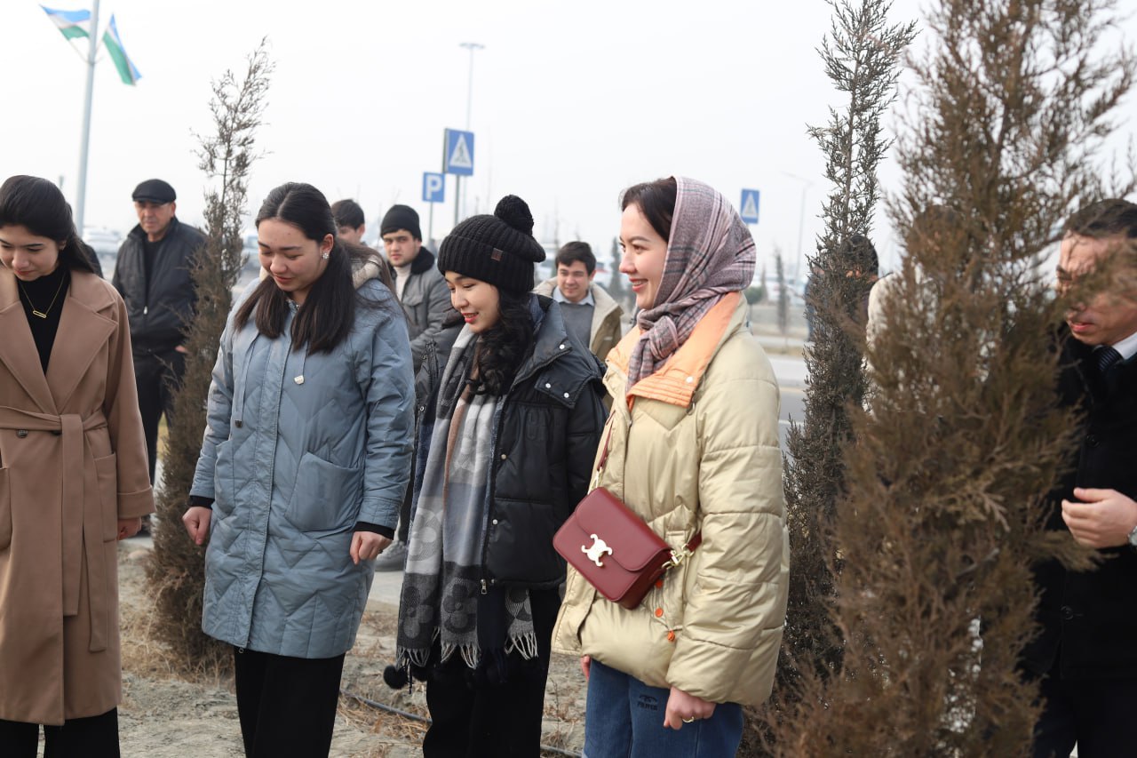 Yashil universitet faoliyati